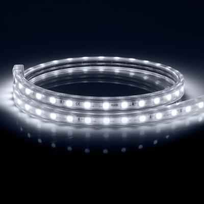 Ruban LED Dimmable 220V AC 60LED/m IP65 Blanc Froid Sur mesure Largeur14mm  Coupe tous les 100cm
