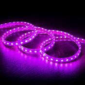 Ruban LED Dimmable 220V AC 60LED/m IP65 Rose Violet Sur mesure Largeur14mm  Coupe tous les 100cm