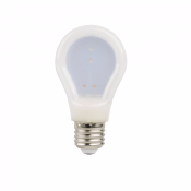 Ampoule LED E27 G70 6W