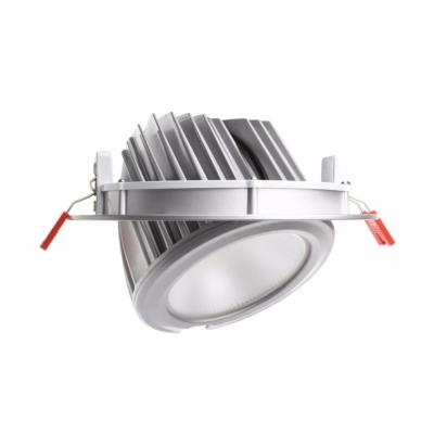 Projecteur LED Samsung 120lm/w Rond Orientable 60W Argenté Lifud