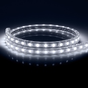 Ruban LED Dimmable 220V AC 60LED/m IP65 Blanc Froid Sur mesure Largeur14mm  Coupe tous les 100cm