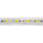 RUBAN LED 220V SDM5050 Blanc Neutre 50 METRES