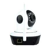 Caméra IP Wifi avec Lecteur pour Carte SD