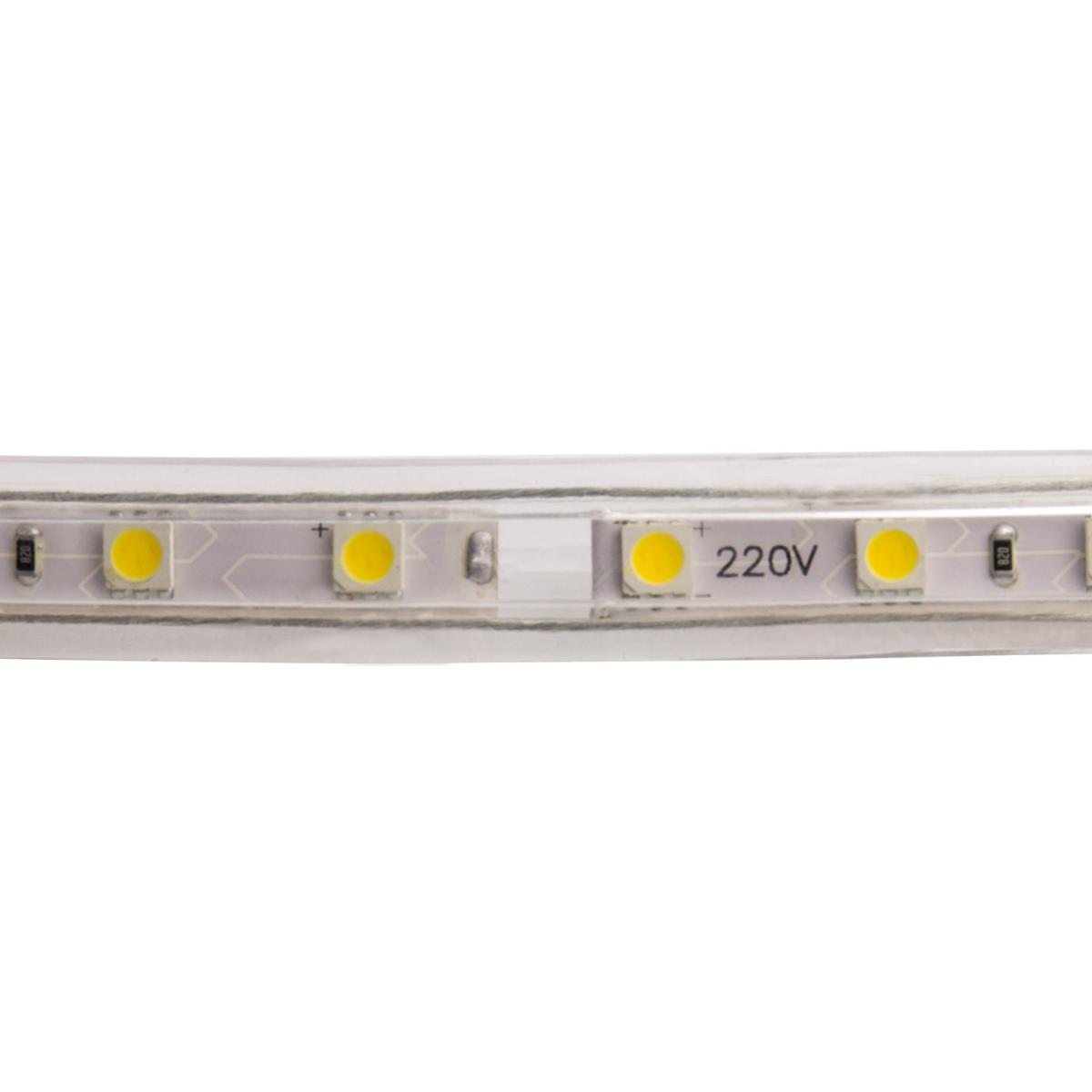 Bobine LED Dimmable 220V AC 100LED/m Blanc Froid IP67 50m Largeur