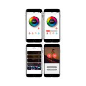 Balise LED Solaire Extérieur RGBW sur Piquet avec Contrôle Bluetooth Smartphone