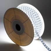BobineLED Dimmable 220V AC 60LED/m IP65 Blanc Froid 50 mètres Largeur14mm  Coupe tous les 100cm